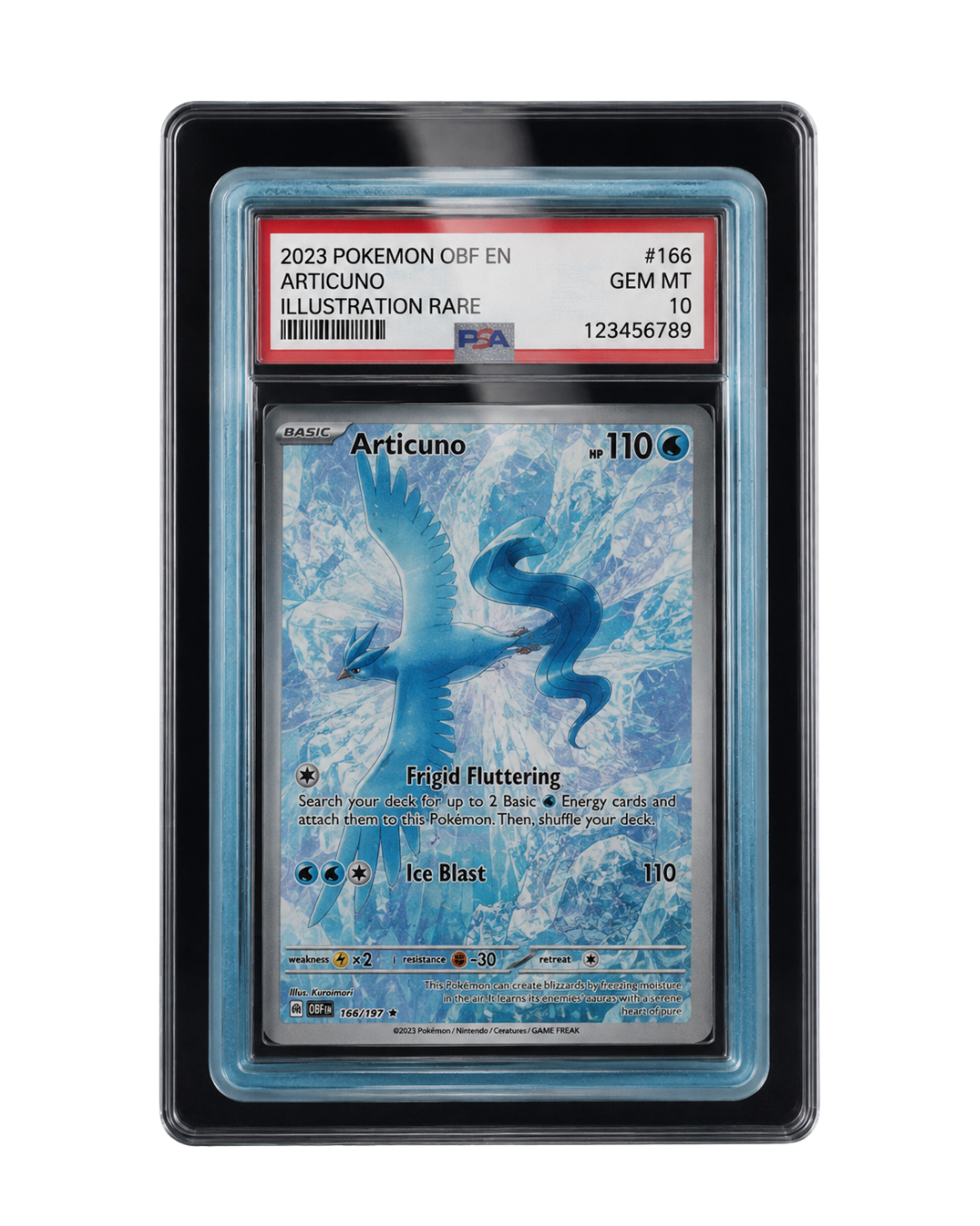 Galar Guards for PSA Slabs