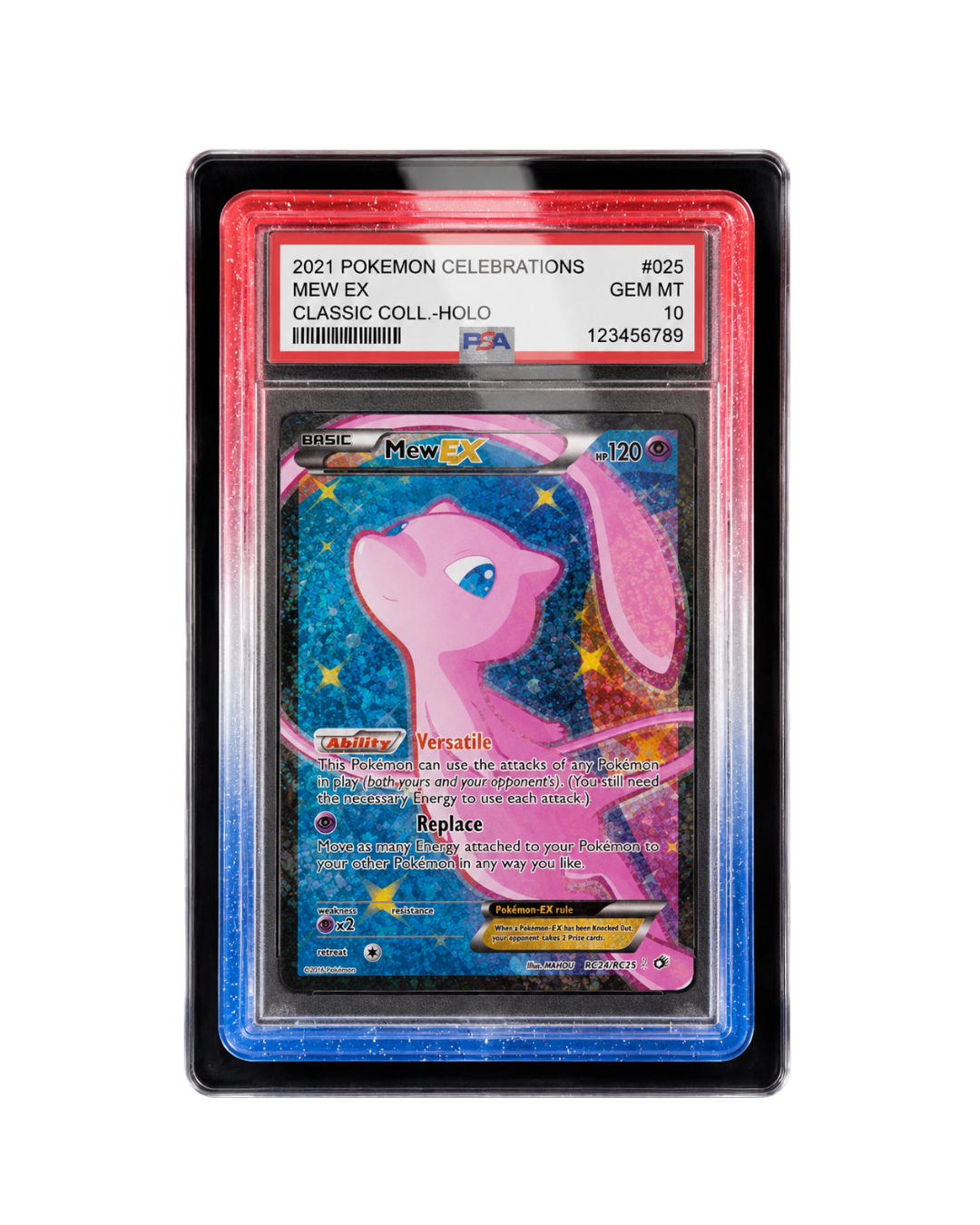 Galar Guards for PSA Slabs