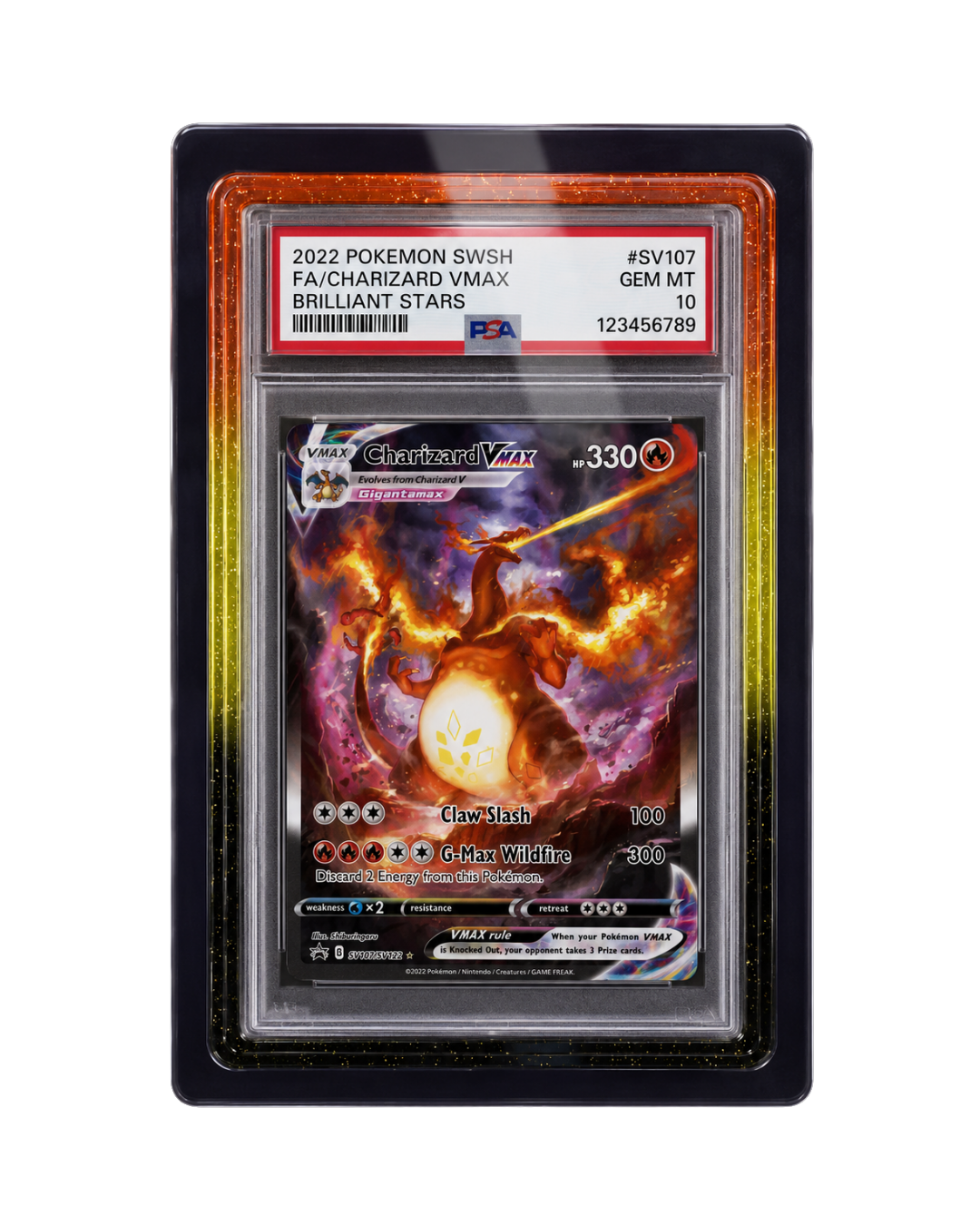 Galar Guards for PSA Slabs