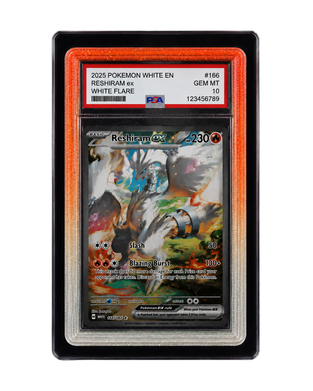 Galar Guards for PSA Slabs