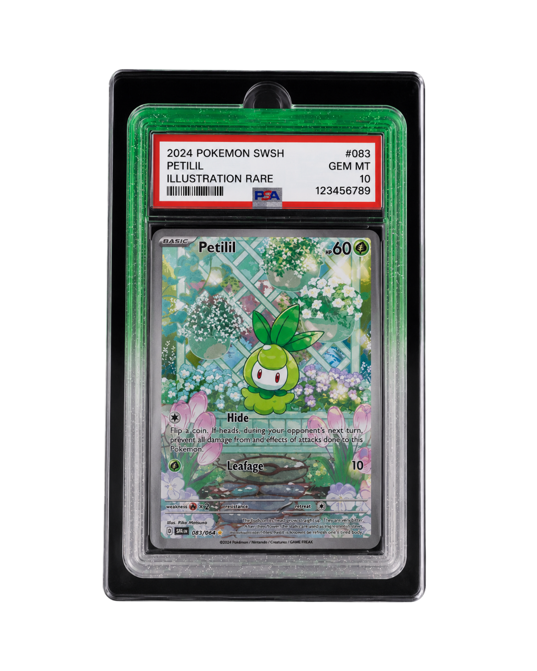 Galar Guards for PSA Slabs