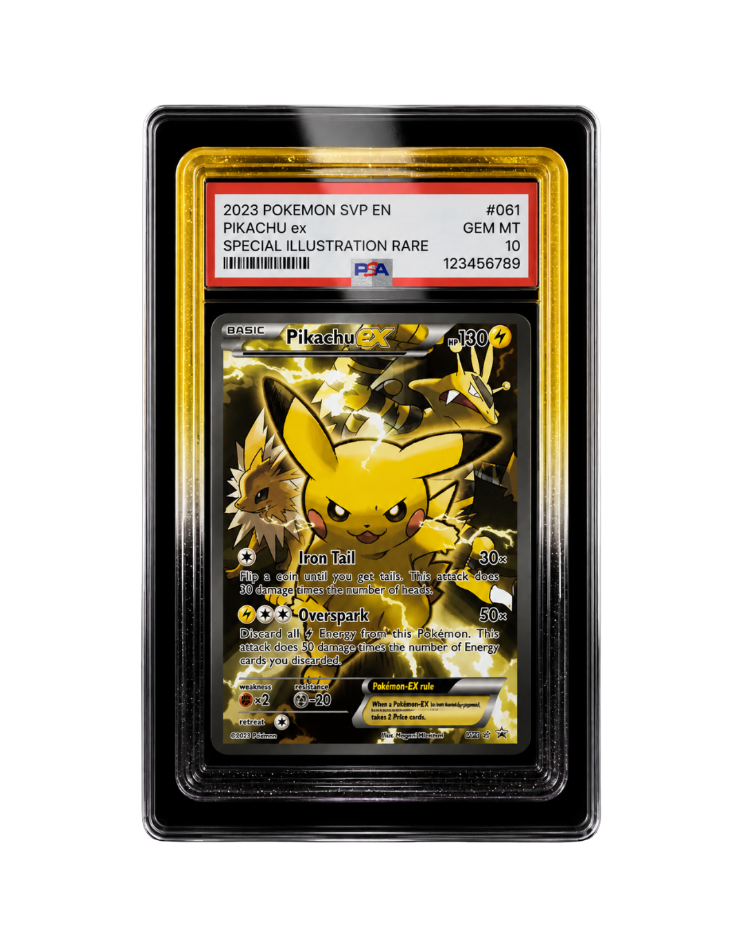 Galar Guards for PSA Slabs