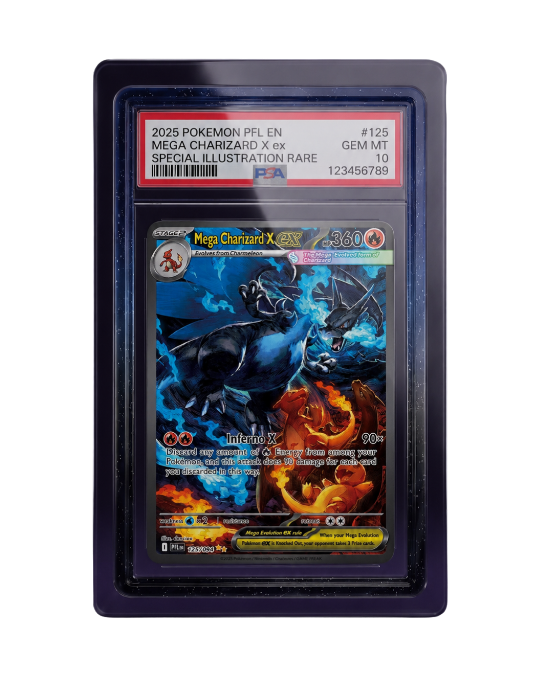 Galar Guards for PSA Slabs