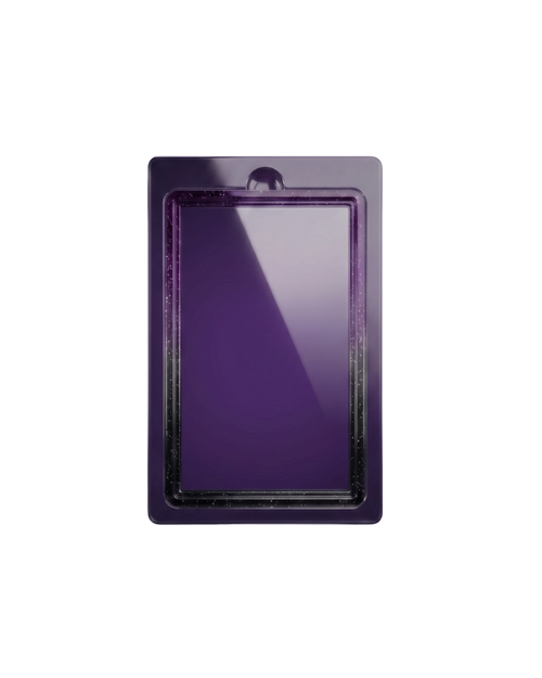 Galar Guards for TAG Slabs