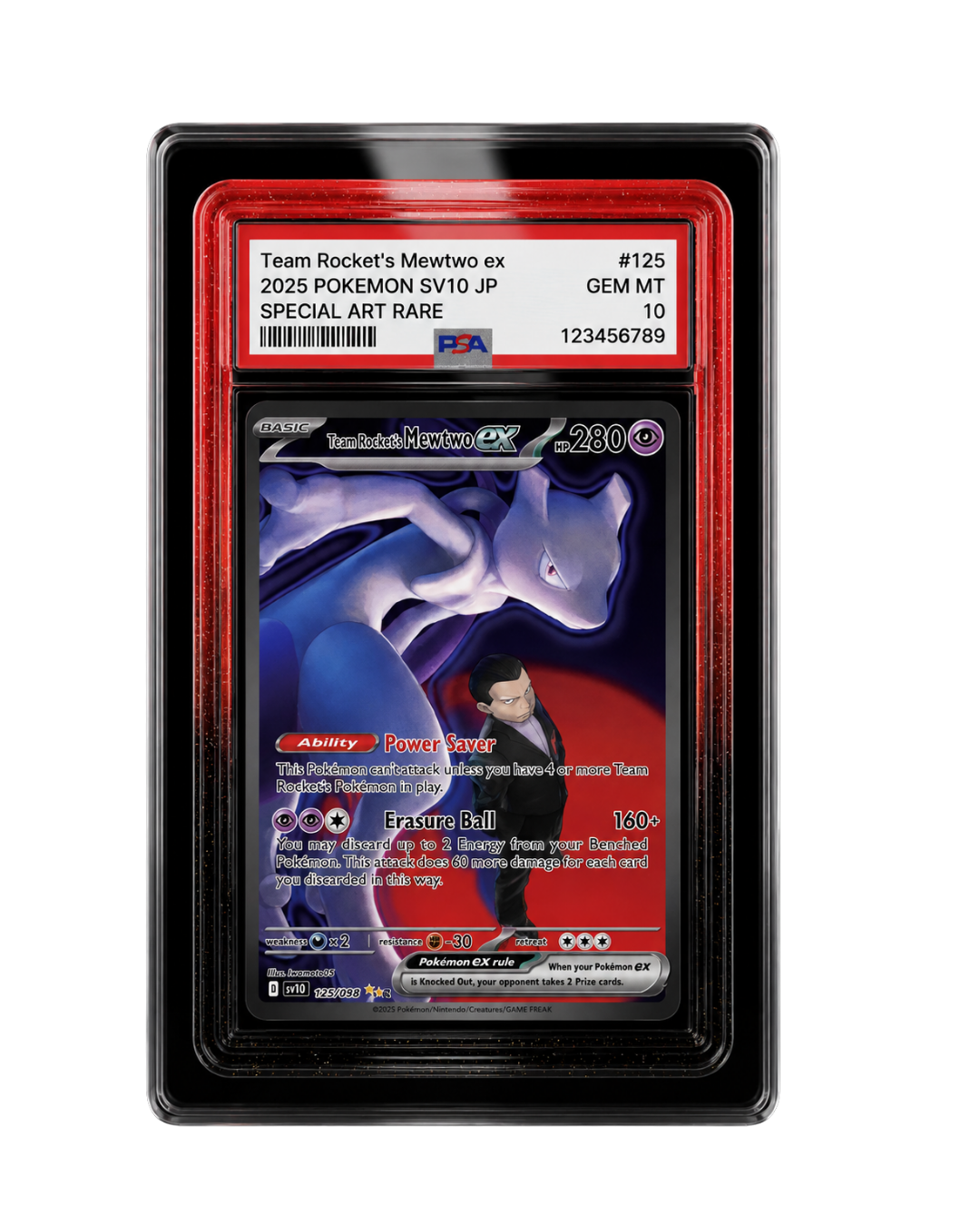 Galar Guards for PSA Slabs