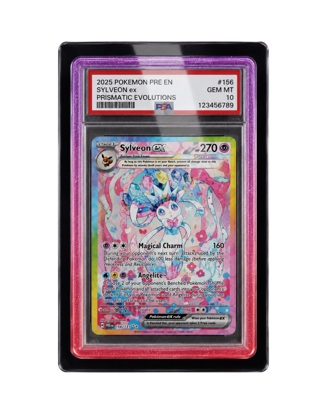 Galar Guards for PSA Slabs