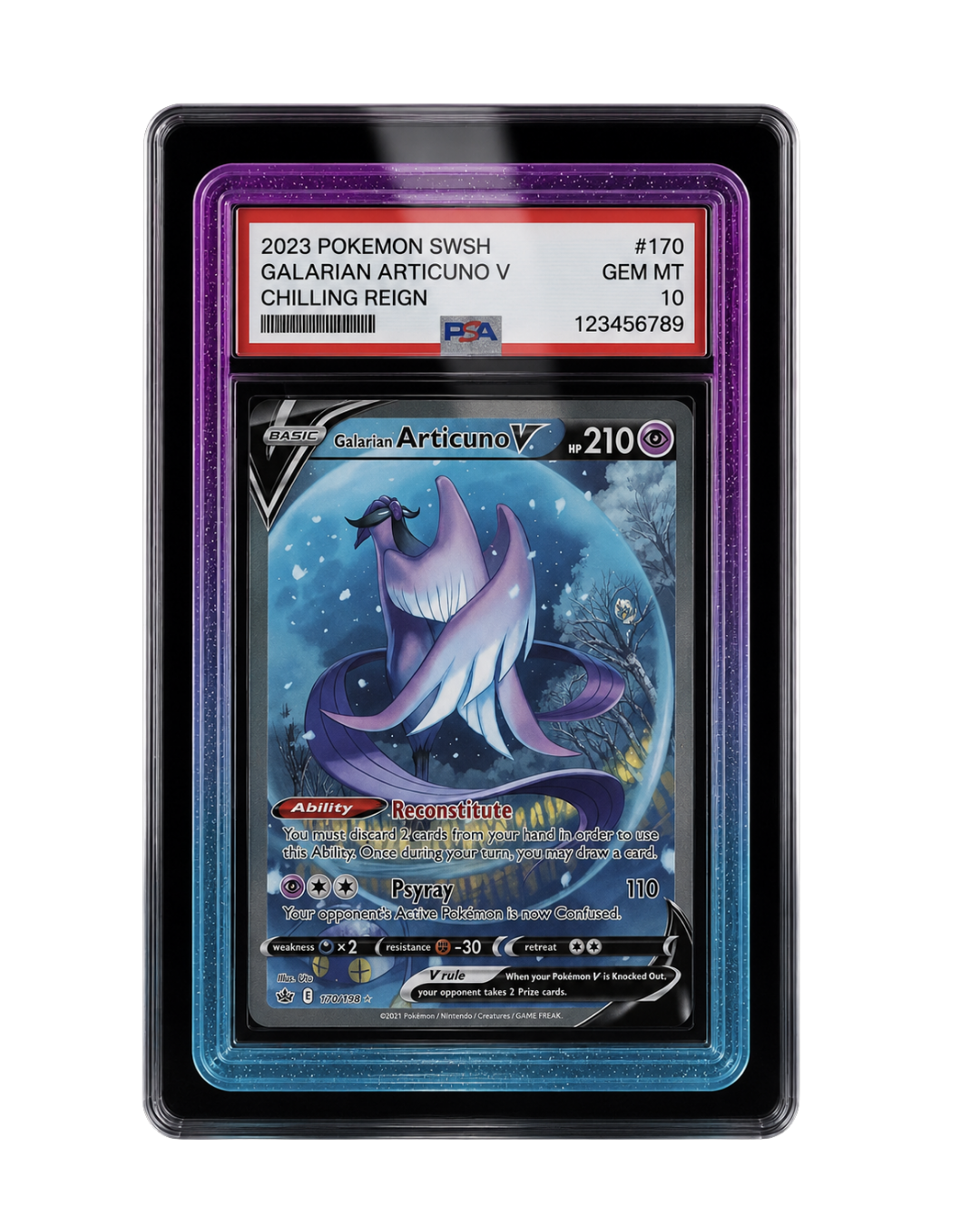 Galar Guards for PSA Slabs