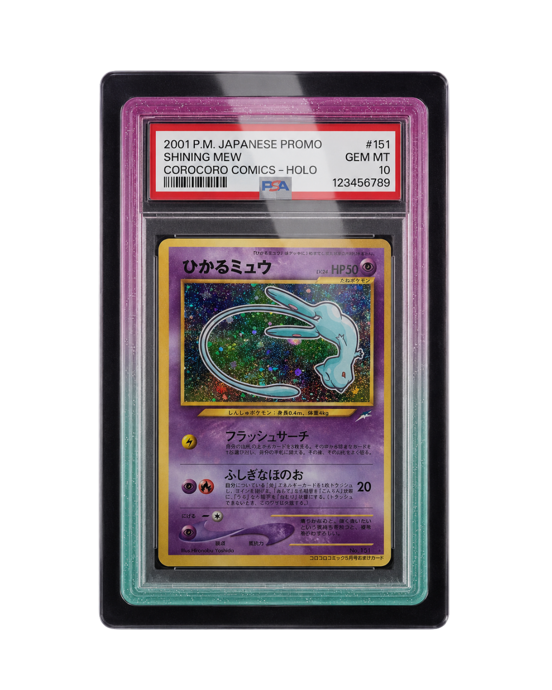 Galar Guards for PSA Slabs
