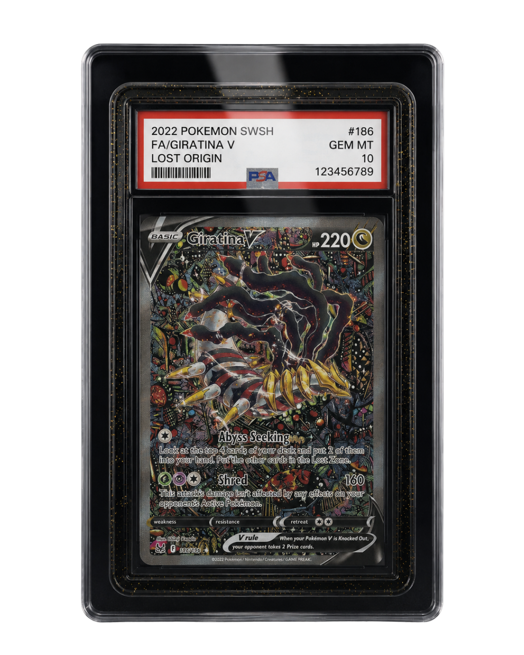 Galar Guards for PSA Slabs