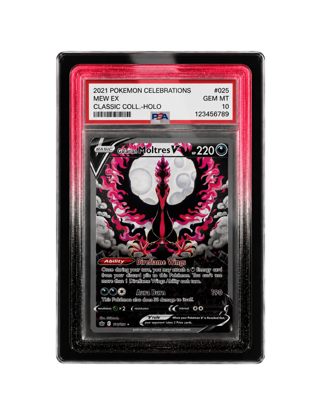 Galar Guards for PSA Slabs