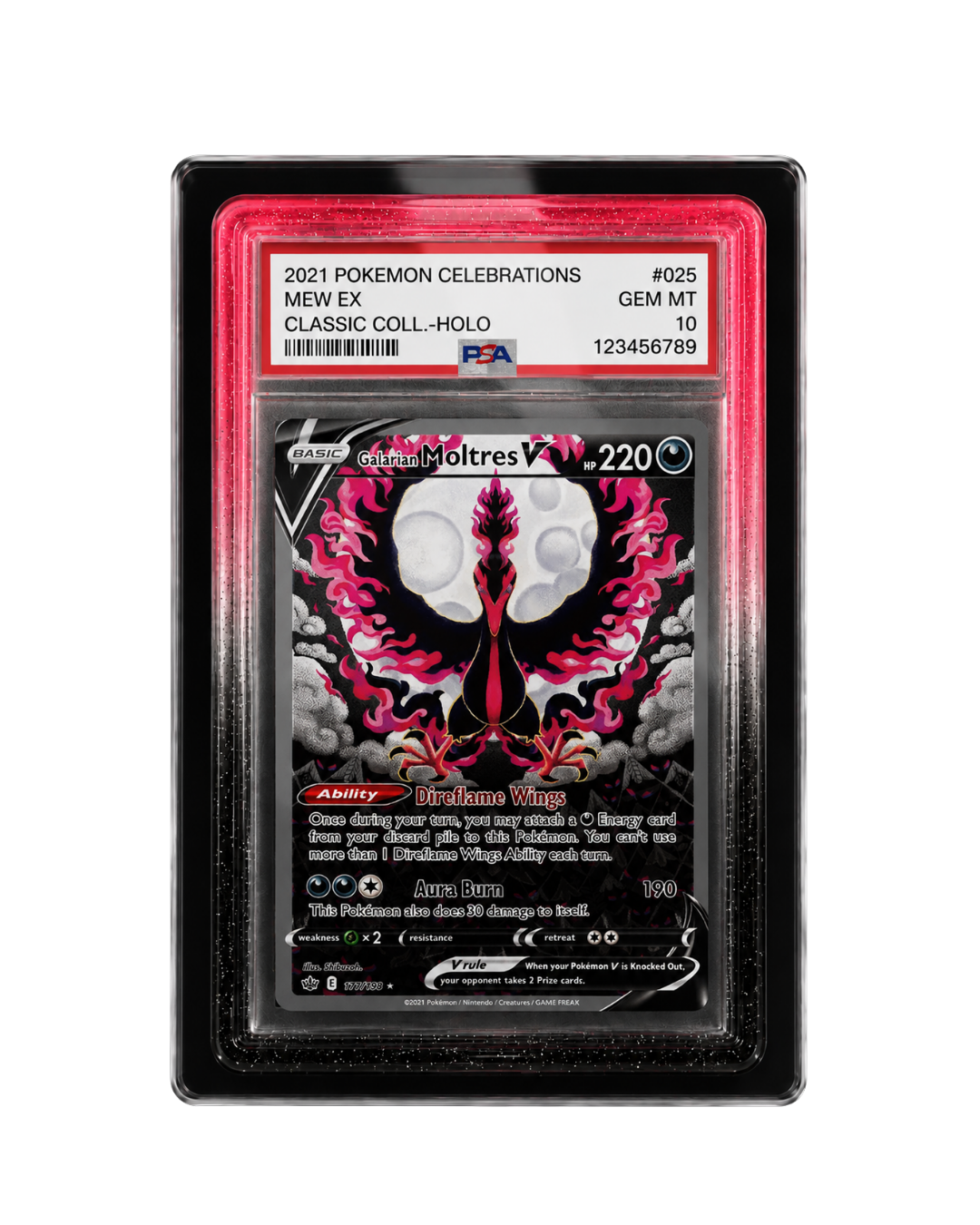 Galar Guards for PSA Slabs