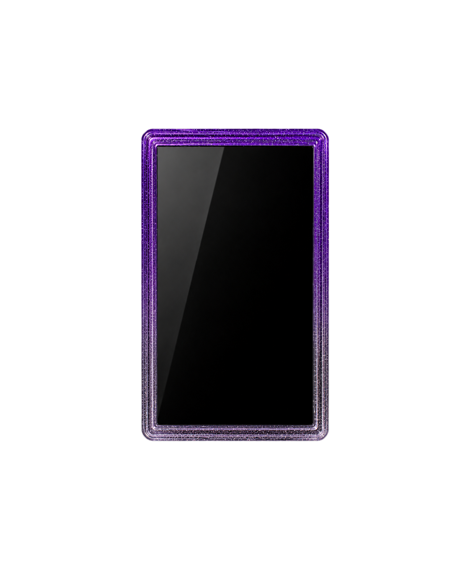 Galar Guards for PSA Slabs