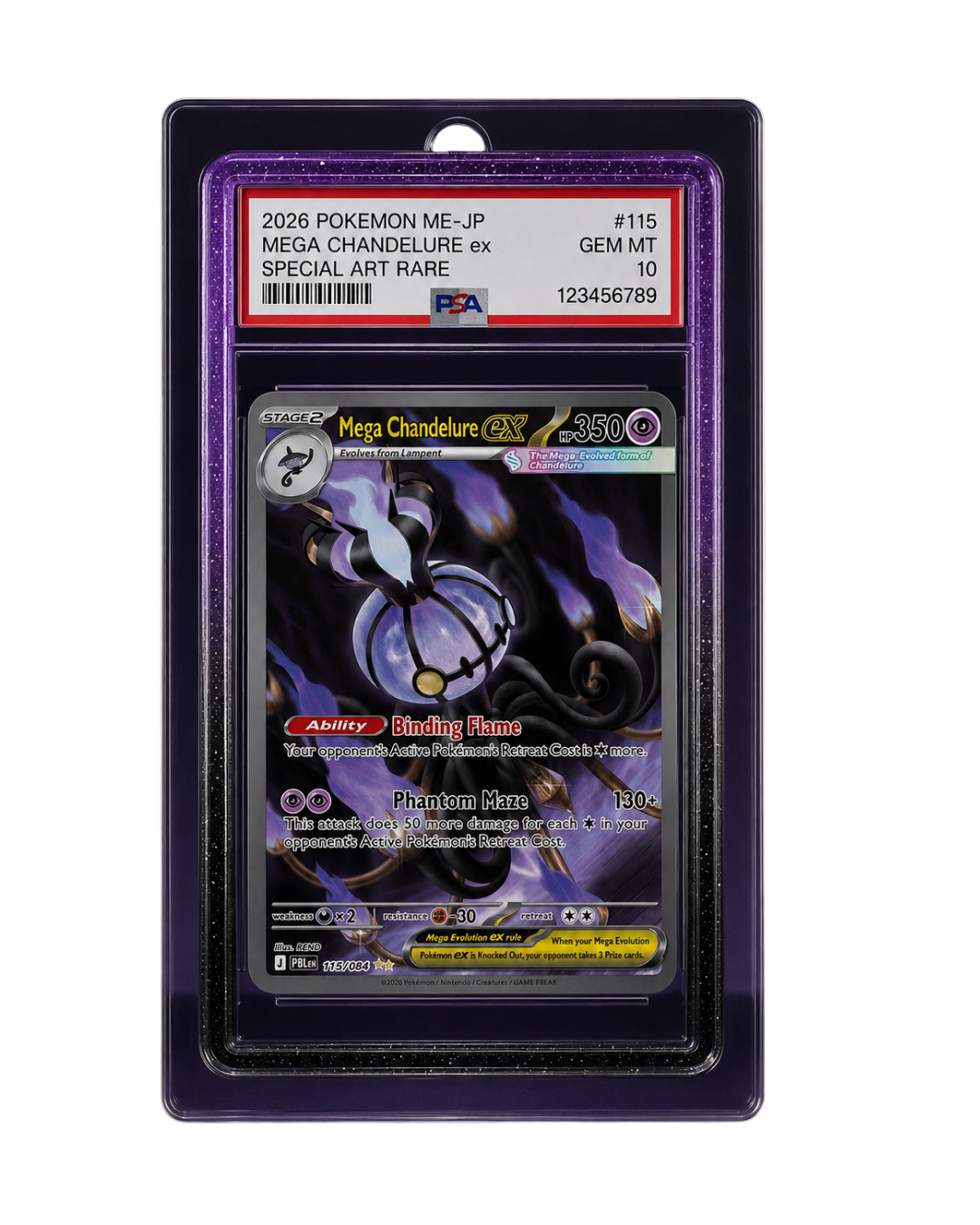 Galar Guards for PSA Slabs