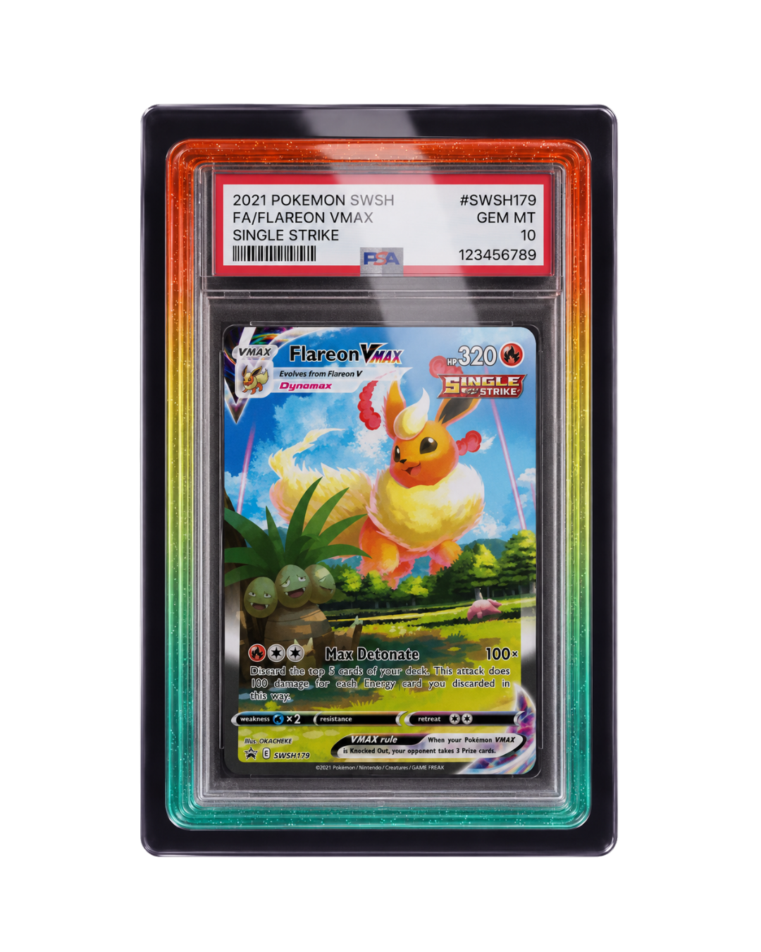 Galar Guards for PSA Slabs