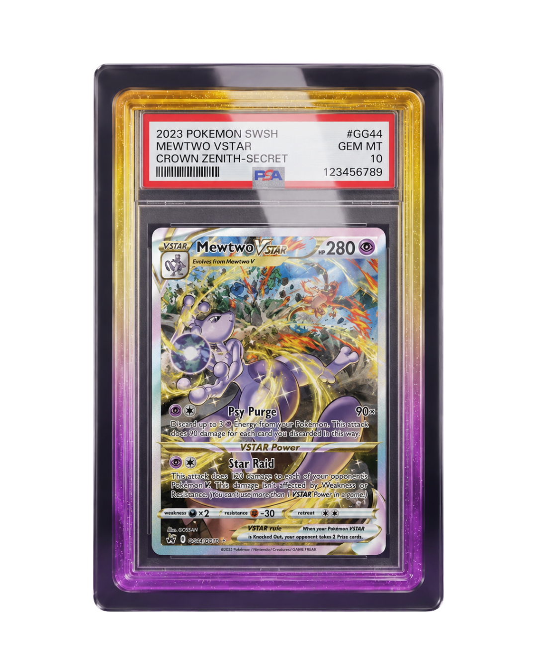Galar Guards for PSA Slabs