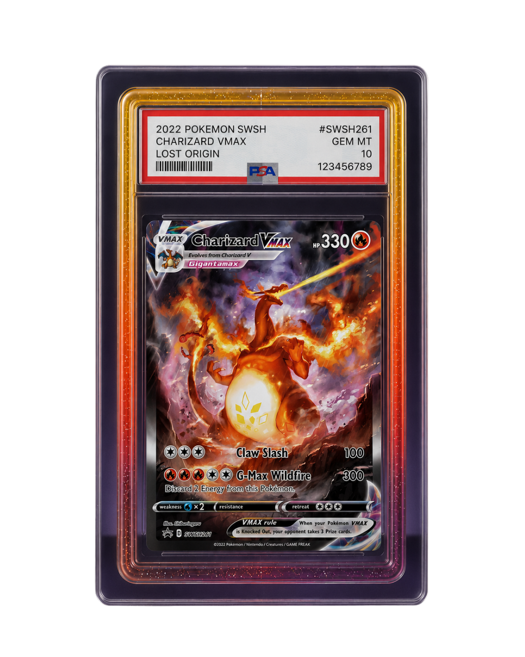 Galar Guards for PSA Slabs