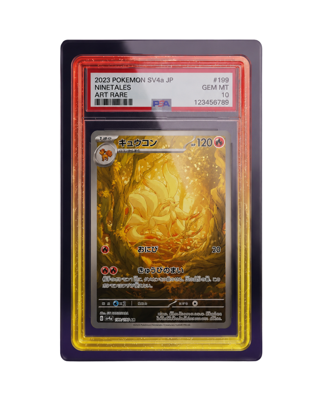 Galar Guards for PSA Slabs
