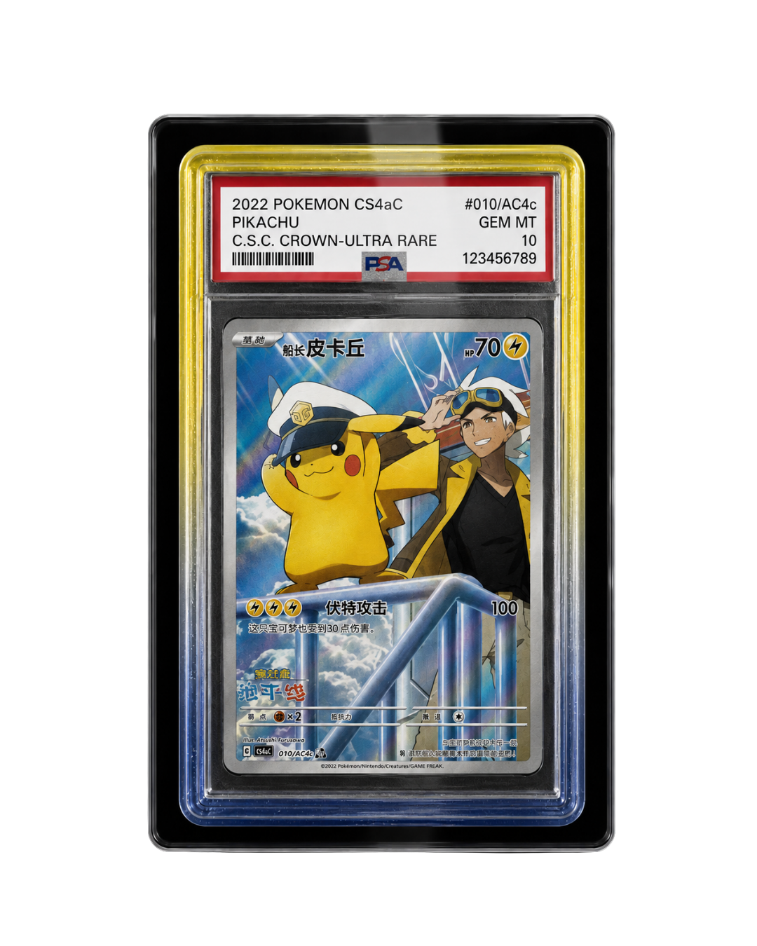 Galar Guards for PSA Slabs