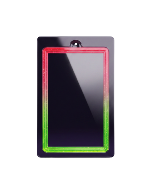 Galar Guards for PSA Slabs